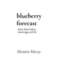 blueberry forecast: thirty three haikus about eggs and life
