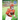 Football Stars Coloring Book: The best players of the American footbal league