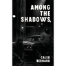 Among the Shadows