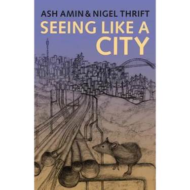 Seeing Like a City