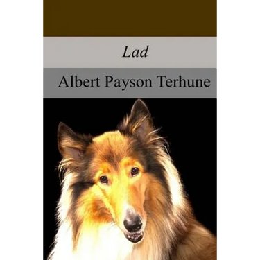 Lad: A Dog