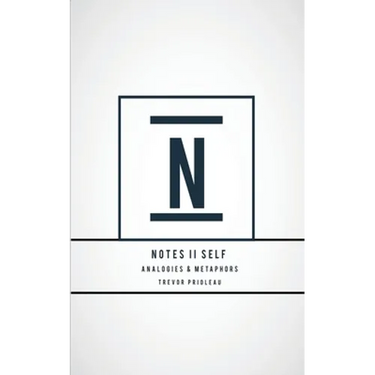 Notes II Self: Analogies and Metaphors