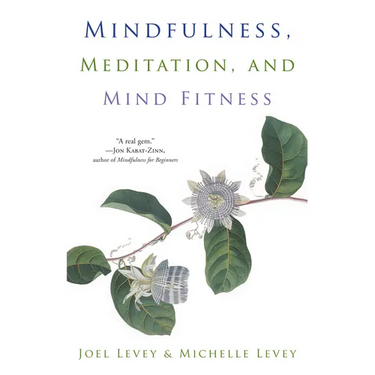 Mindfulness, Meditation, and Mind Fitness: (Spiritual Fitness, Mindset, Focus, Stress-Reduction)