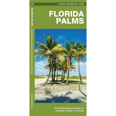 Florida Palms: A Folding Pocket Guide to Familiar Palms of Florida