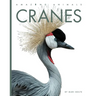 Cranes