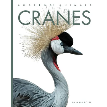 Cranes