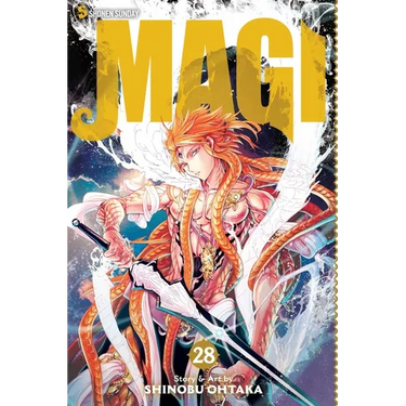 Magi: The Labyrinth of Magic, Vol. 28: The Labyrinth of Magic