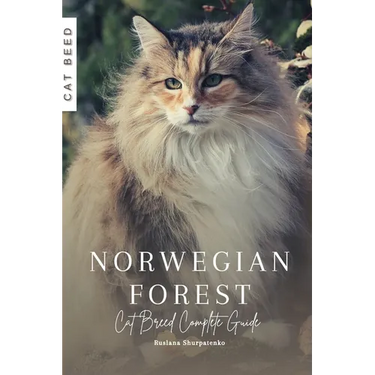 Norwegian Forest: Cat Breed Complete Guide