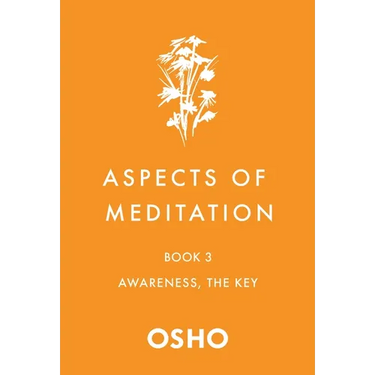 Aspects of Meditation Book 3: Awareness, the Key