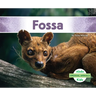 Fossa