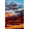 A Lost Soul Found in the Darkness: The Journey of a Soul in Haiku