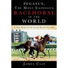 Pegasus, The Most Expensive Racehorse in the World: A True Story of the Global Racing Industry