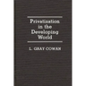 Privatization in the Developing World