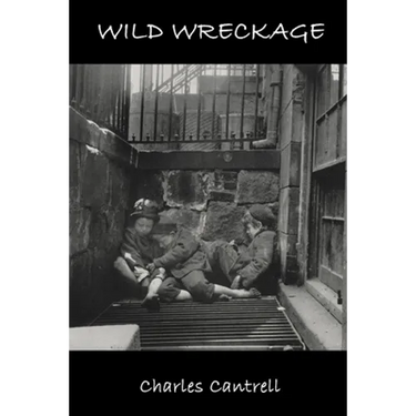 Wild Wreckage