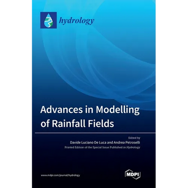 Advances in Modelling of Rainfall Fields