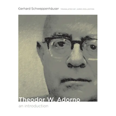 Theodor W. Adorno: An Introduction