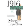 1916: A Novel of the Irish Rebellion
