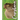 The Capybara Cutie Club 2026 Calendar