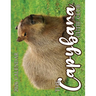The Capybara Cutie Club 2026 Calendar