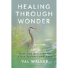 Healing Through Wonder: How Awe Restores Us After Trauma and Loss