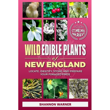 Wild Edible Plants of New England: Locate, Identify, Store, and Prepare Your Foraged Finds