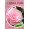 30 Camellia species: Make the right choice