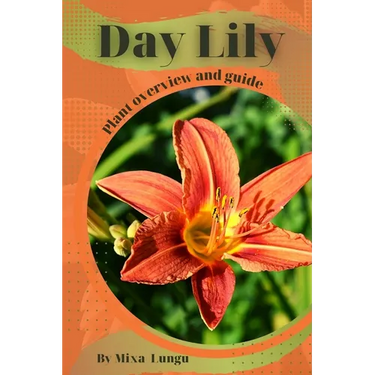 Day Lily: Plant overview and guide
