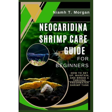 Neocaridina Shrimp Care Guide for Beginners: How to Set Up, Maintain, and Breed a Thriving Freshwater Shrimp Tank