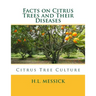 Facts on Citrus Trees and Their Diseases: Citrus Tree Culture