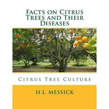 Facts on Citrus Trees and Their Diseases: Citrus Tree Culture