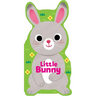 Little Bunny