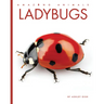 Ladybugs