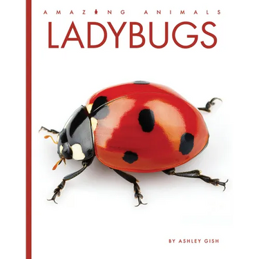 Ladybugs