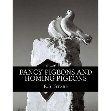 Fancy Pigeons and Homing Pigeons