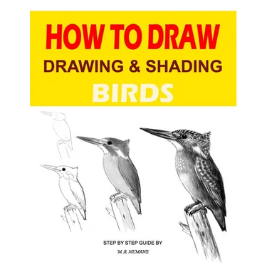 Drawing and shading Birds: How to draw
