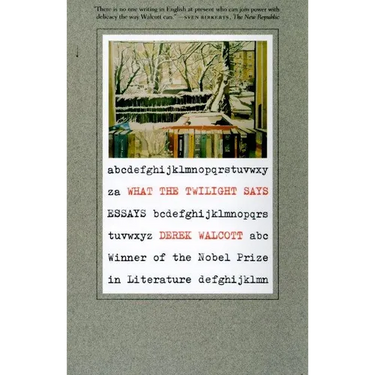 What the Twilight Says: Essays