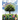 Creciendo Con Valores (Growing with Values)