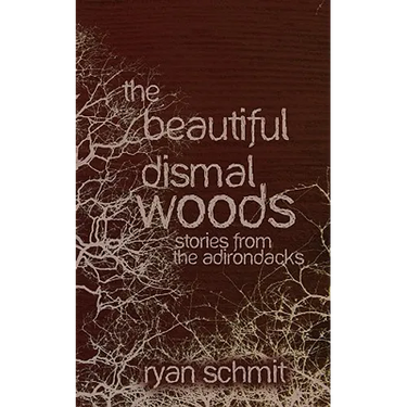 The Beautiful Dismal Woods: Short Stories from the Adirondacks