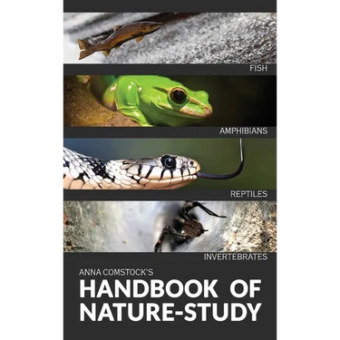 The Handbook Of Nature Study in Color - Fish, Reptiles, Amphibians, Invertebrates