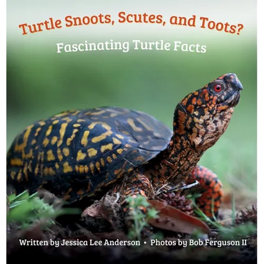 Turtle Snoots, Scutes, and Toots? Fascinating Turtle Facts