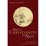 What Christianity Is Not: An Exercise in "Negative" Theology