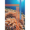Blue Economy Strategies: Advancing Marine Policy, Ocean Governance, Sustainable Fisheries, Renewable Energy, Biodiversity, and Coastal Management