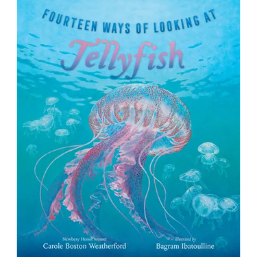 Fourteen Ways of Looking at Jellyfish