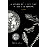 A Moth Fell In Love With The Moon