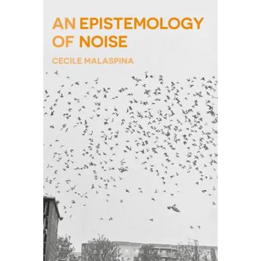 An Epistemology of Noise