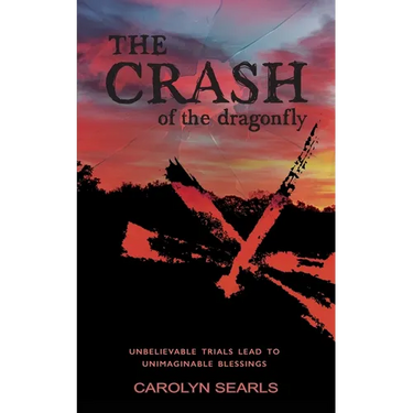 The Crash of the Dragonfly: Unbelievable Trials Lead to Unimaginable Blessings