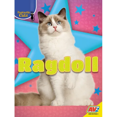 Ragdoll