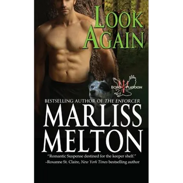 Look Again: A Novella