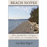 Beach Notes: The pandemic surges yet there is tranquility