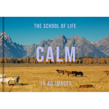 Calm in 40 Images: The Art of Finding Serenity